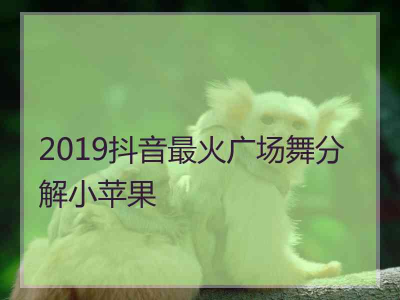 2019抖音最火广场舞分解小苹果