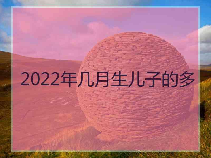 2022年几月生儿子的多