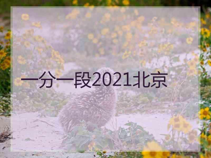 一分一段2021北京