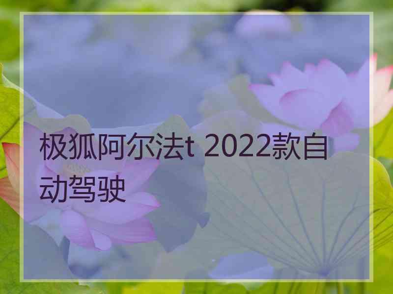 极狐阿尔法t 2022款自动驾驶