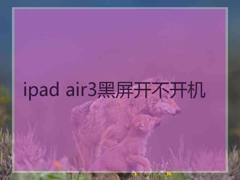 ipad air3黑屏开不开机