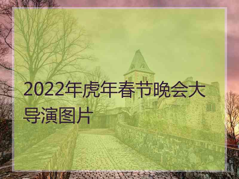 2022年虎年春节晚会大导演图片