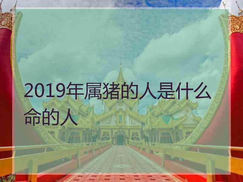 2019年属猪的人是什么命的人