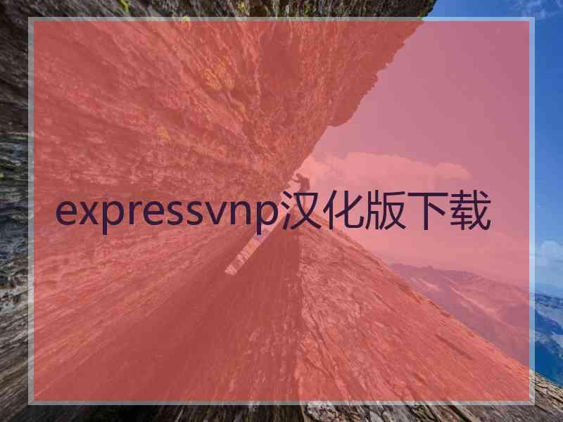 expressvnp汉化版下载