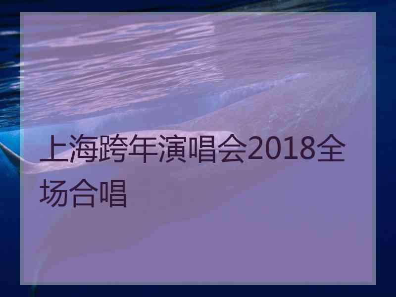 上海跨年演唱会2018全场合唱