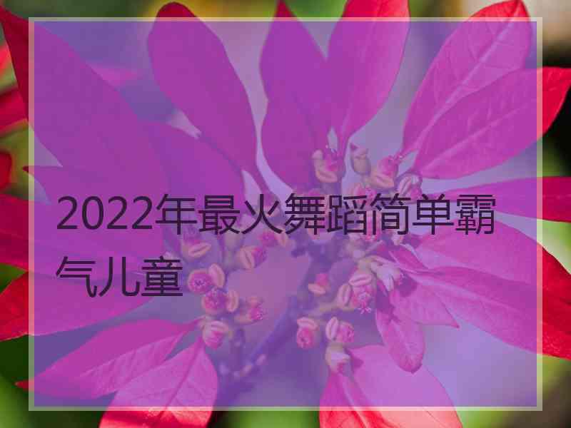 2022年最火舞蹈简单霸气儿童