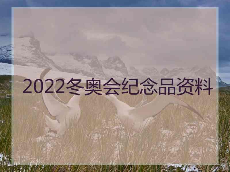 2022冬奥会纪念品资料