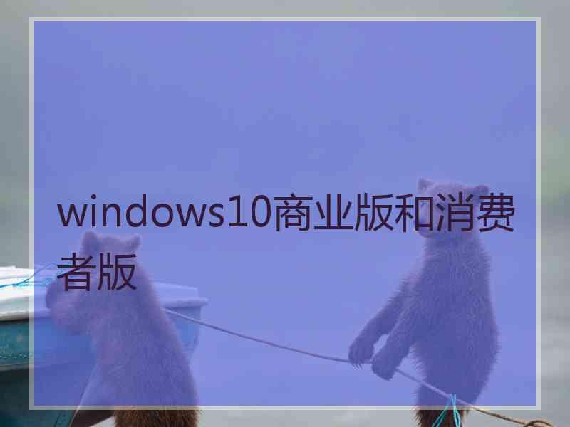 windows10商业版和消费者版