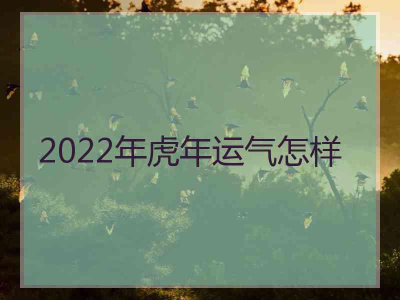 2022年虎年运气怎样