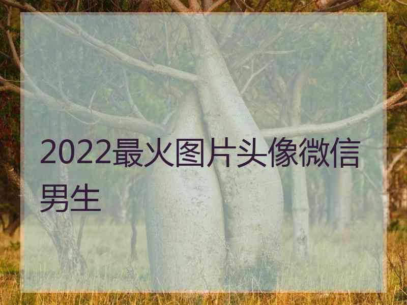 2022最火图片头像微信男生