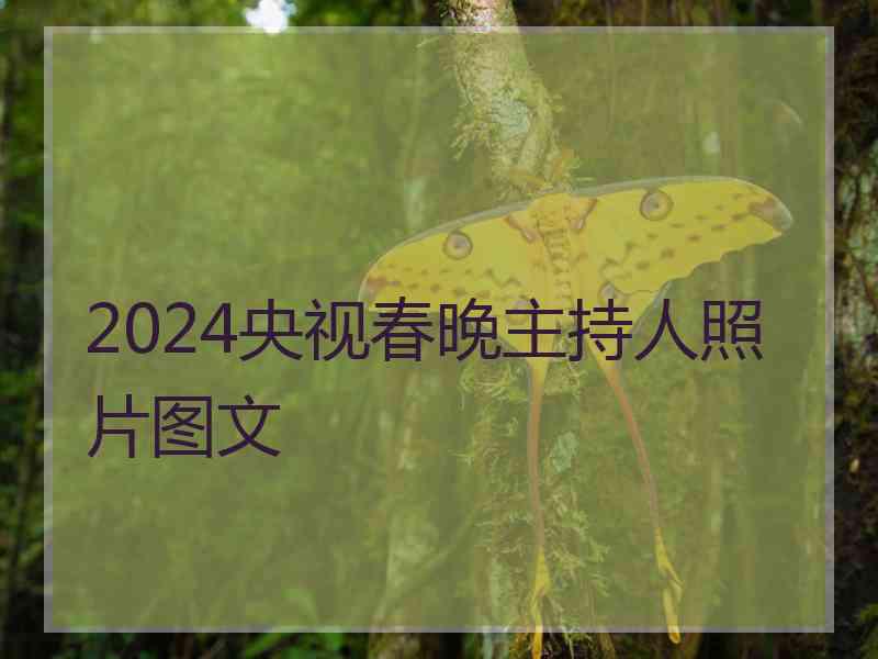 2024央视春晚主持人照片图文