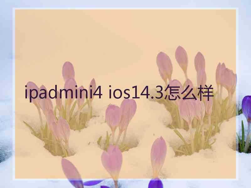 ipadmini4 ios14.3怎么样