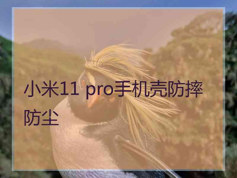 小米11 pro手机壳防摔防尘