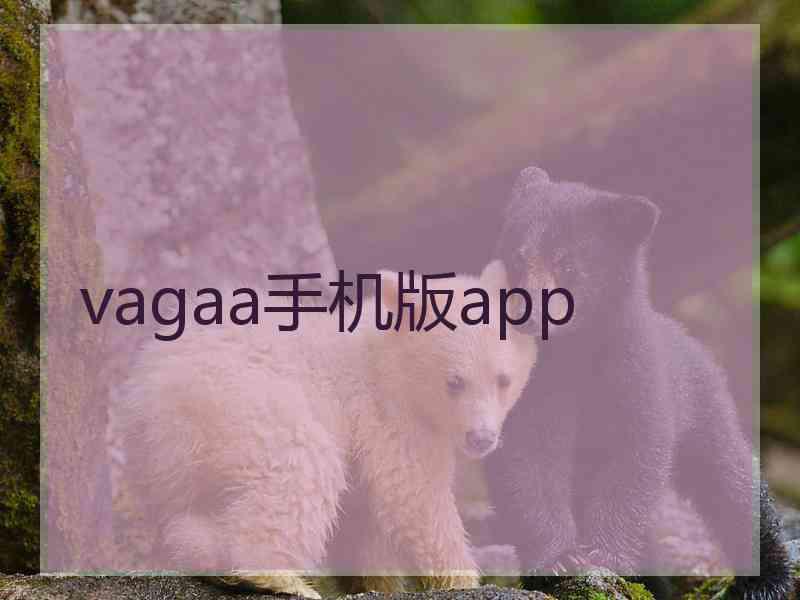 vagaa手机版app