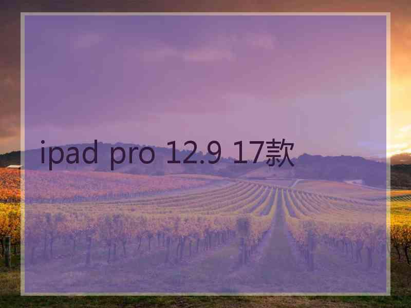 ipad pro 12.9 17款