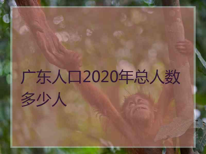 广东人口2020年总人数多少人