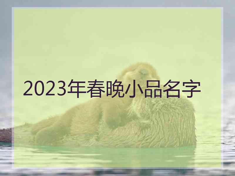 2023年春晚小品名字