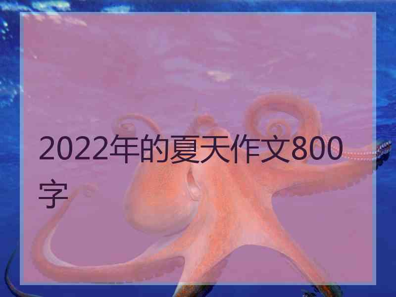 2022年的夏天作文800字