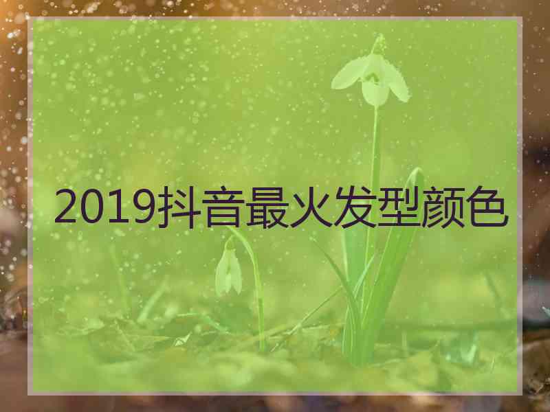 2019抖音最火发型颜色