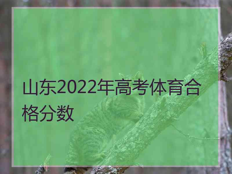 山东2022年高考体育合格分数