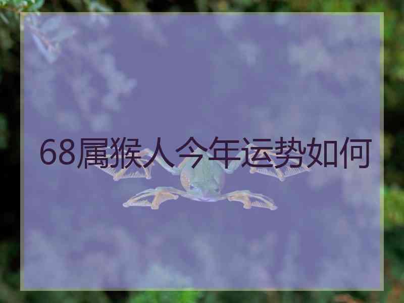 68属猴人今年运势如何