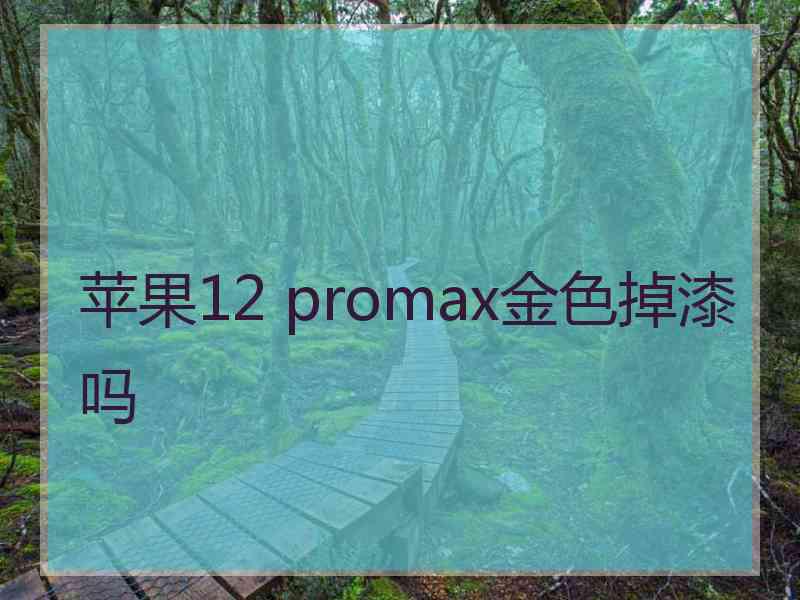 苹果12 promax金色掉漆吗