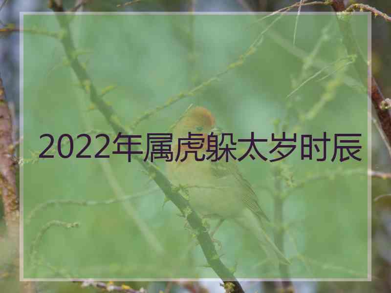 2022年属虎躲太岁时辰