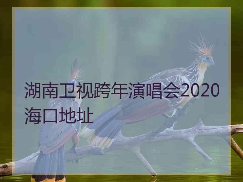 湖南卫视跨年演唱会2020海口地址