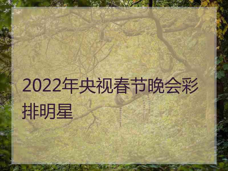 2022年央视春节晚会彩排明星