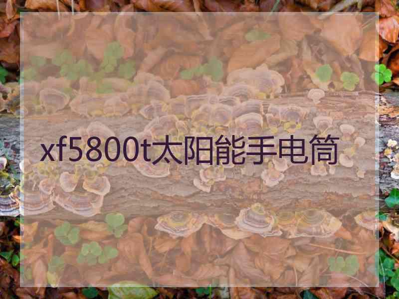 xf5800t太阳能手电筒