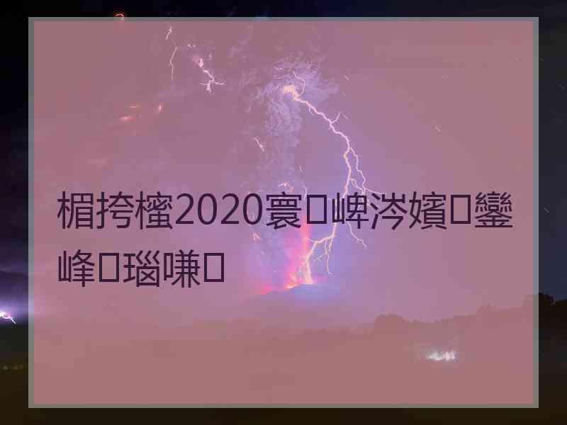 楣挎櫁2020寰崥涔嬪鑾峰瑙嗛