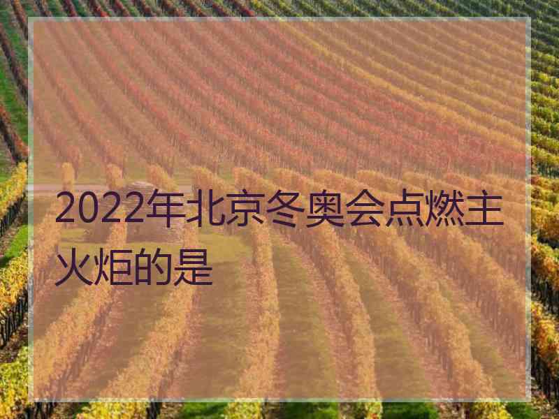 2022年北京冬奥会点燃主火炬的是