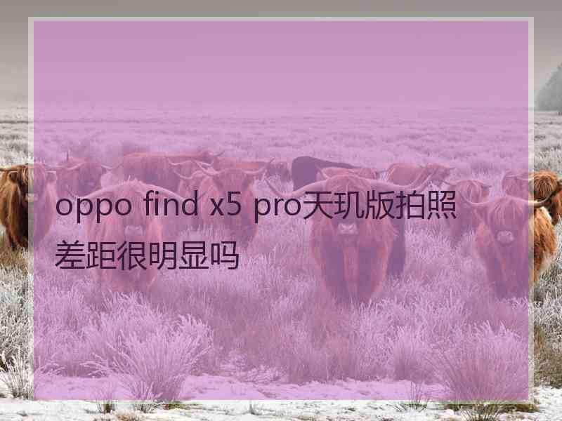 oppo find x5 pro天玑版拍照差距很明显吗