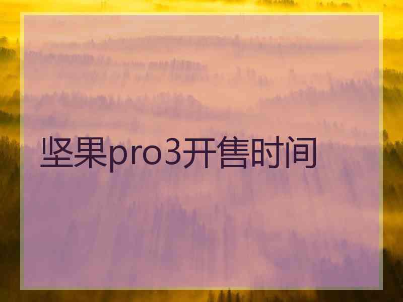 坚果pro3开售时间