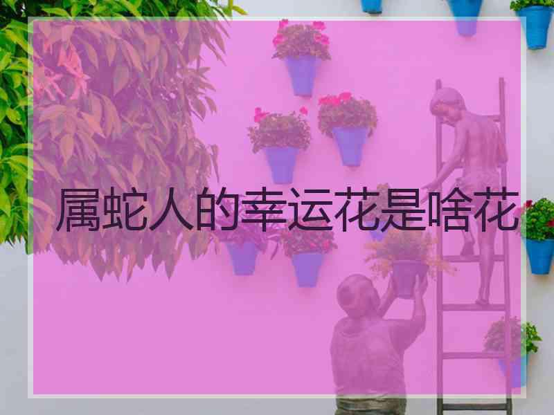 属蛇人的幸运花是啥花