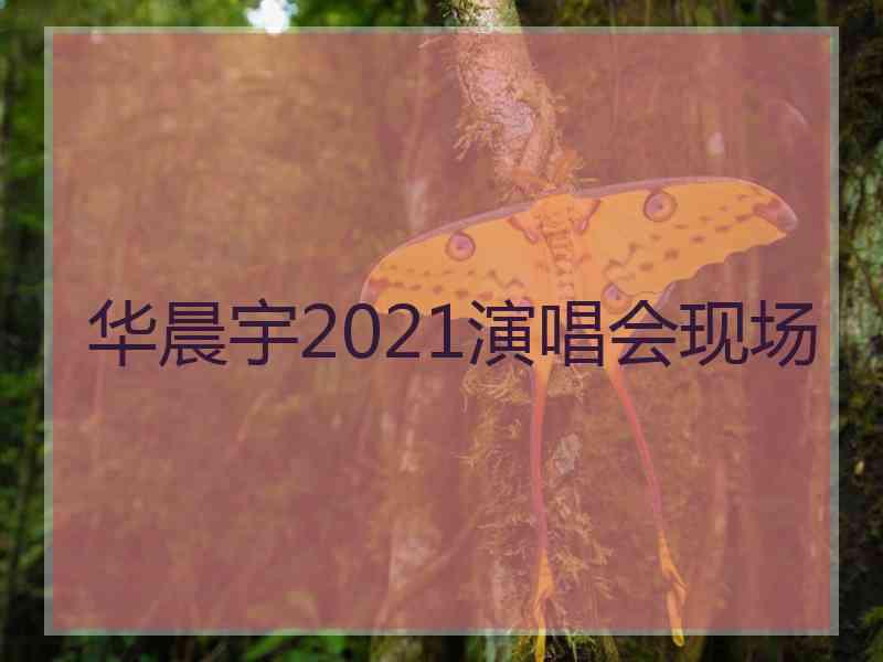 华晨宇2021演唱会现场