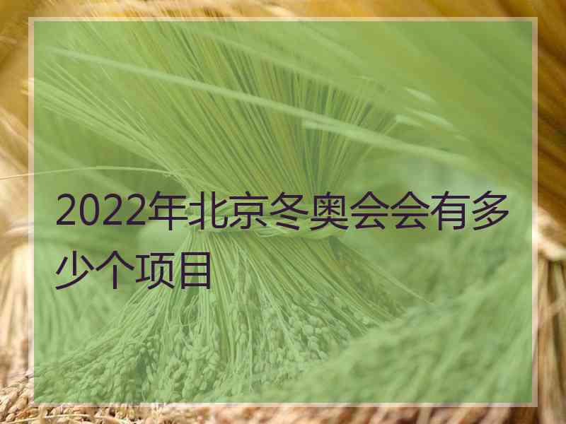 2022年北京冬奥会会有多少个项目