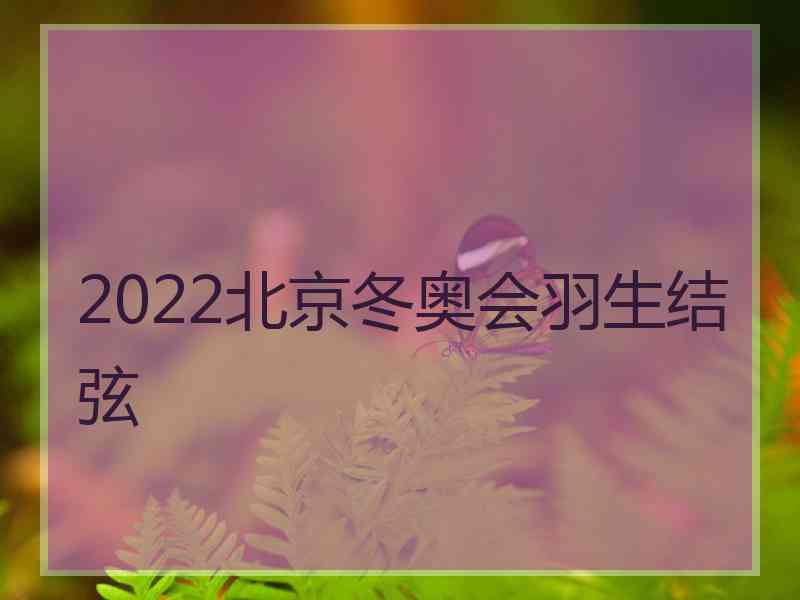 2022北京冬奥会羽生结弦