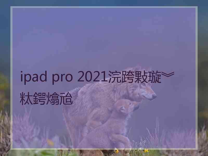 ipad pro 2021浣跨敤璇︾粏鍔熻兘