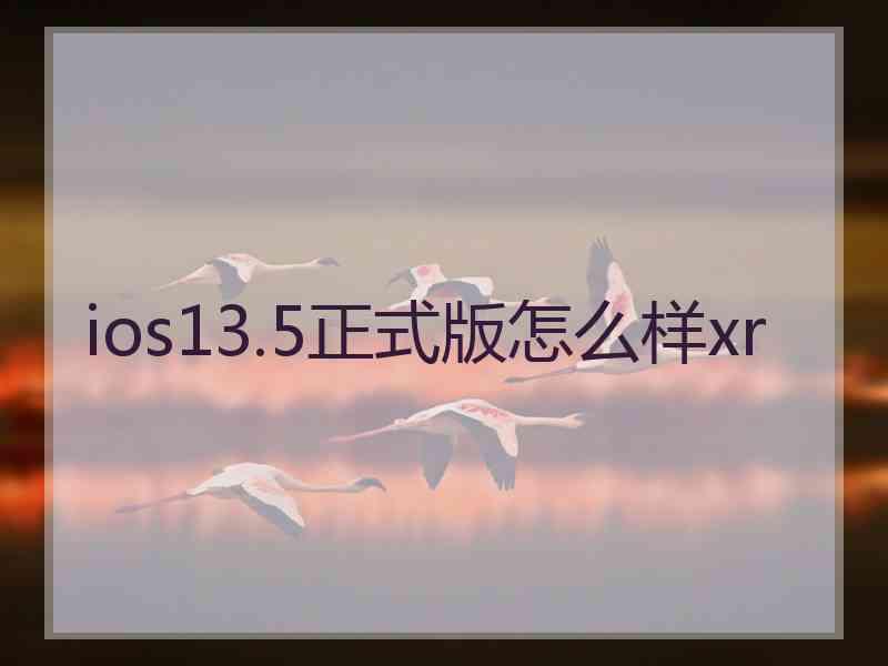 ios13.5正式版怎么样xr