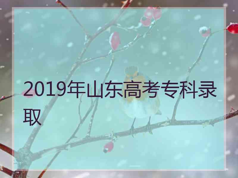 2019年山东高考专科录取