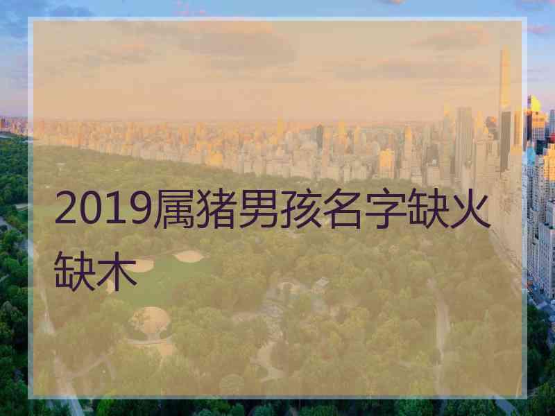 2019属猪男孩名字缺火缺木