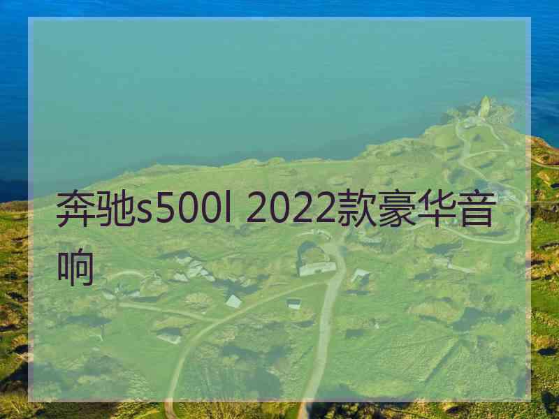 奔驰s500l 2022款豪华音响