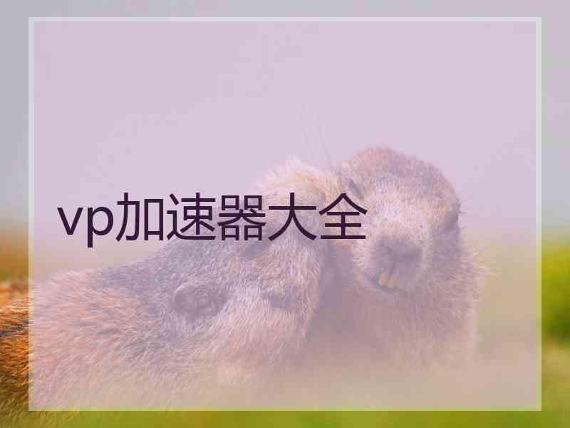 vp加速器大全