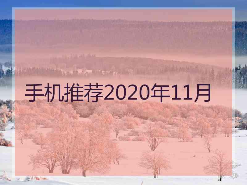 手机推荐2020年11月