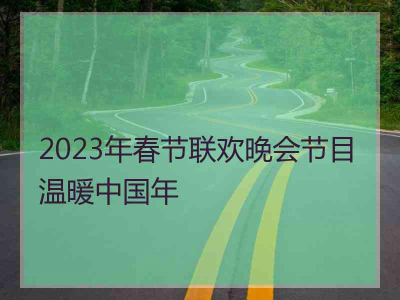 2023年春节联欢晚会节目温暖中国年