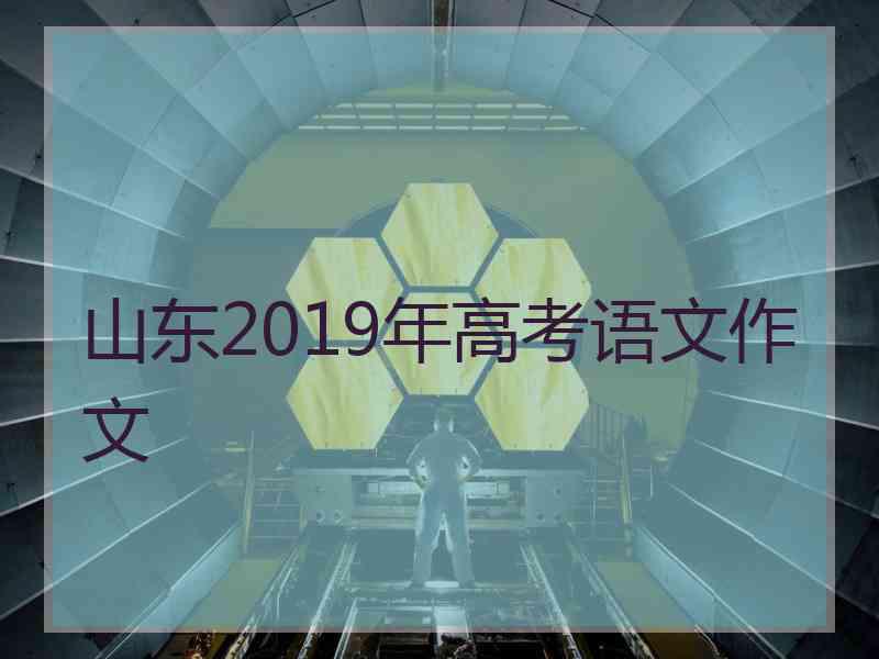 山东2019年高考语文作文