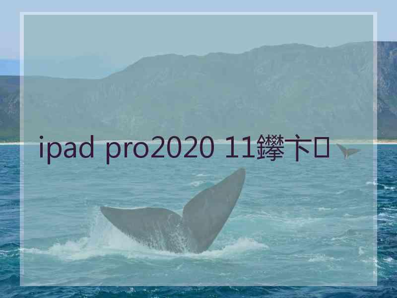 ipad pro2020 11鑻卞