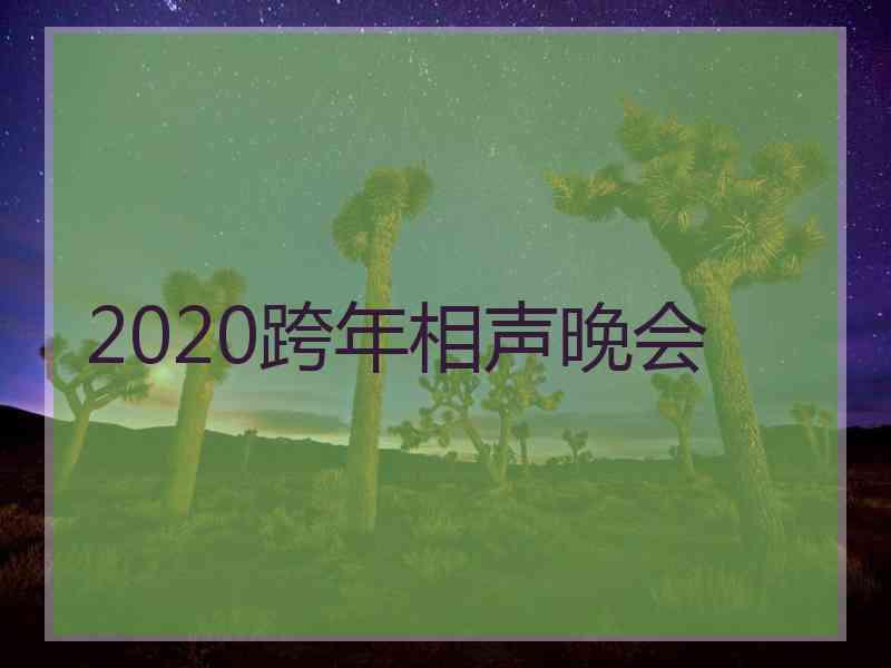 2020跨年相声晚会