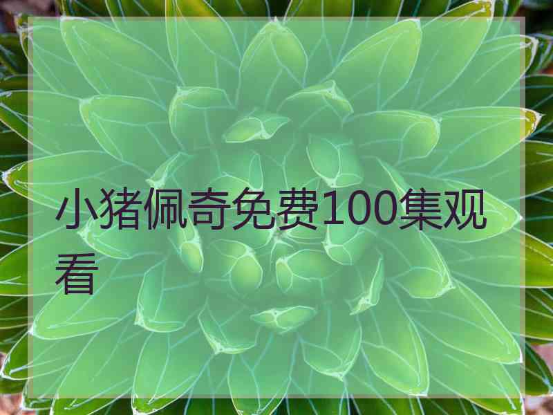 小猪佩奇免费100集观看